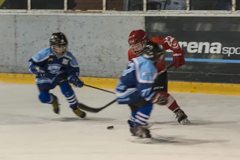 Galerija turnira "Mirko Holbus 2016"